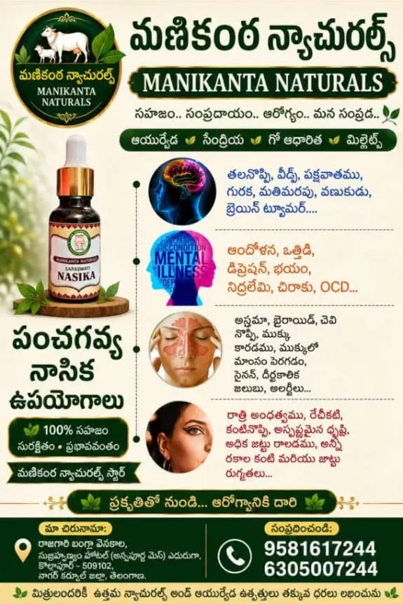 పంచగవ్య నాసిక ప్రకటన